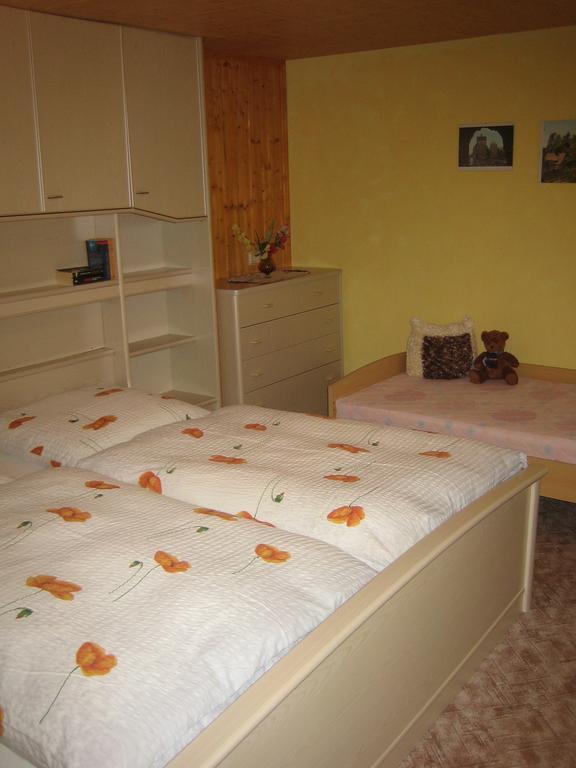 Apartment Schlafwandler Steinigtwolmsdorf Room photo
